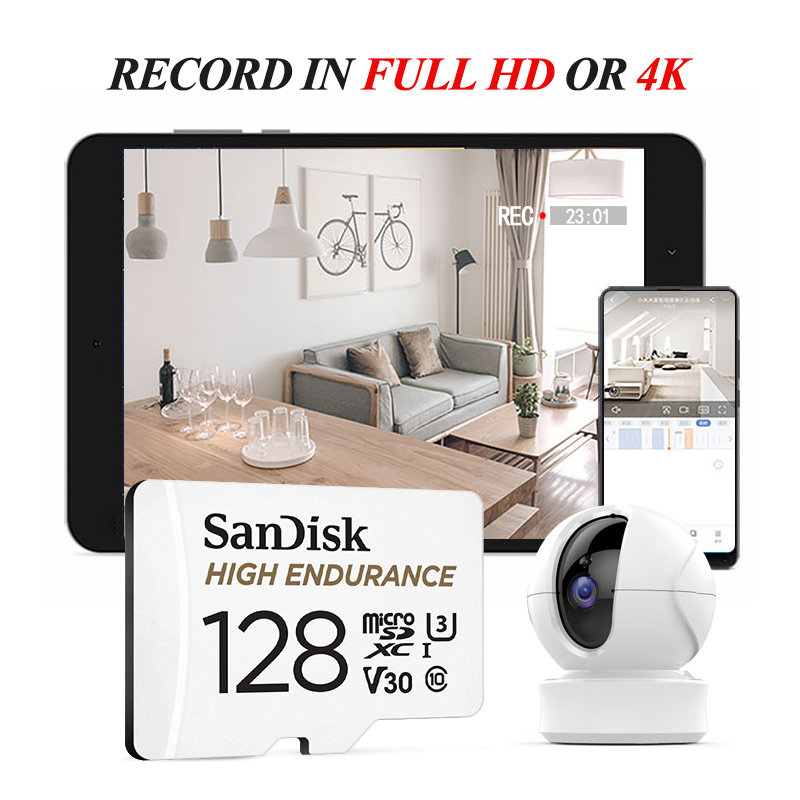 Scheda microSD SanDisk High En - Dash Cam Sd Card 256Gb High Endurance recensione e prezzo