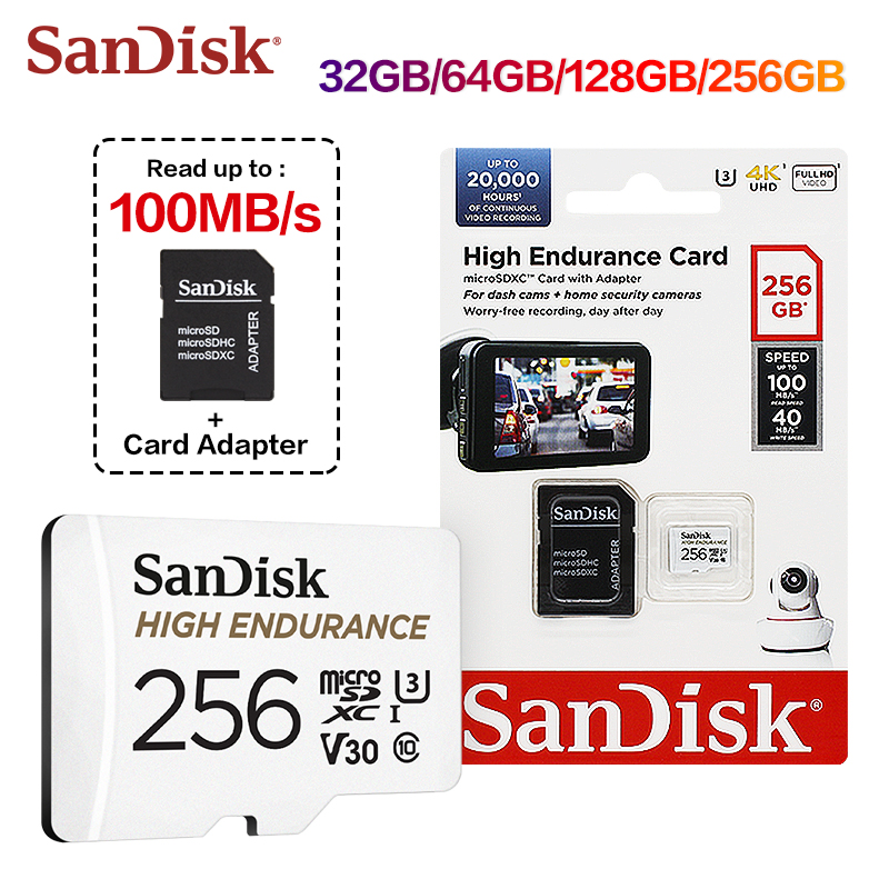 Scheda microSD SanDisk High En - Dash Cam Sd Card 256Gb High Endurance recensione e prezzo