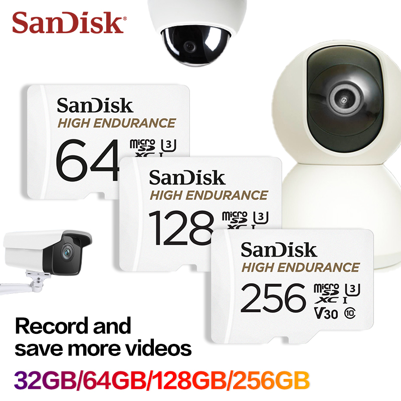 Scheda MicroSD SanDisk High En - Dash Cam Sd Card 256Gb High Endurance recensione e prezzo