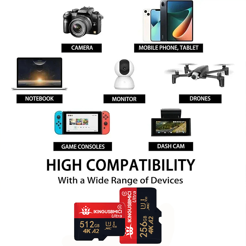 Schede di Memoria TF/SD Micro  - Dash Cam Sd Card 256Gb High Endurance recensione e prezzo