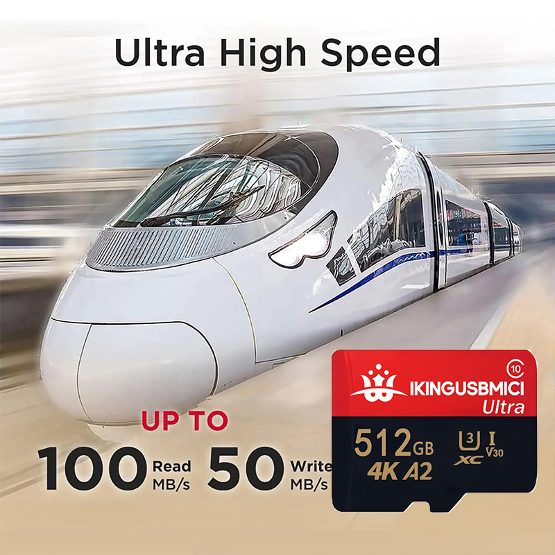 Schede di Memoria TF/SD Micro  - Dash Cam Sd Card 256Gb High Endurance recensione e prezzo