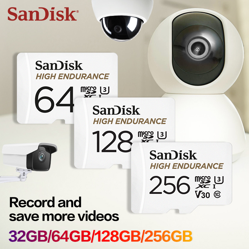 Scheda microSD SanDisk High En - Dash Cam Sd Card 256Gb High Endurance recensione e prezzo