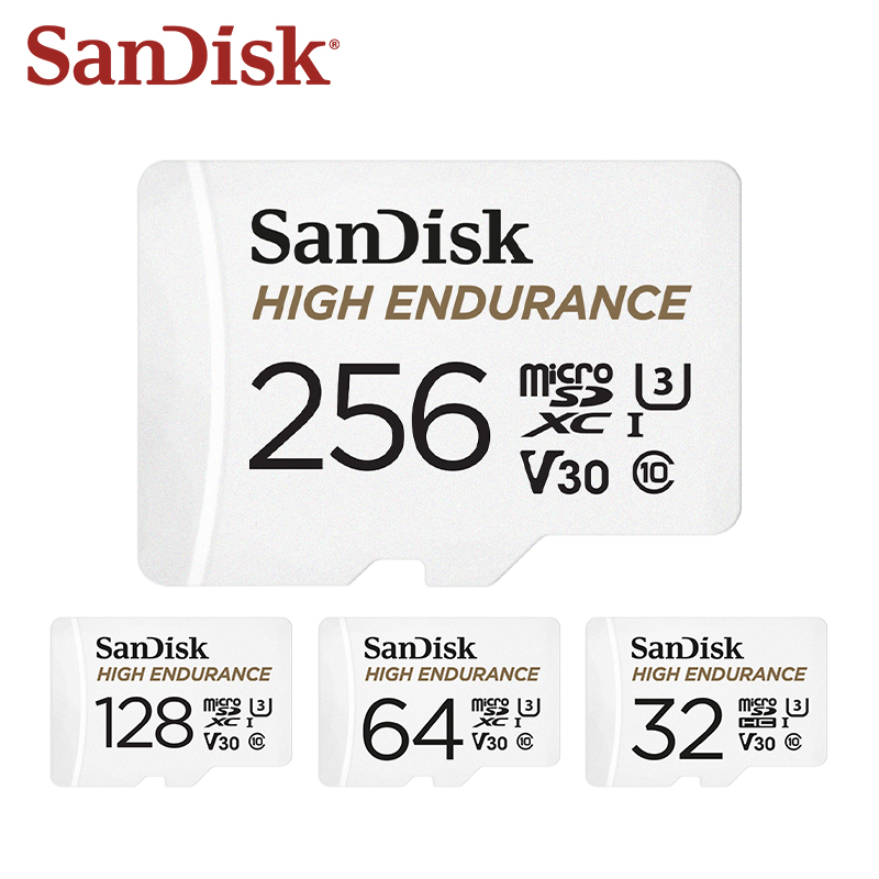 Scheda microSD SanDisk High En - Dash Cam Sd Card 256Gb High Endurance recensione e prezzo