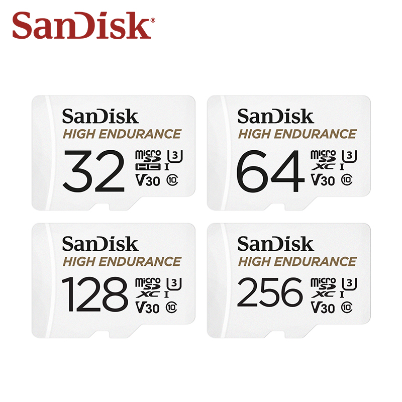 Scheda microSD SanDisk High En - Dash Cam Sd Card 256Gb High Endurance recensione e prezzo
