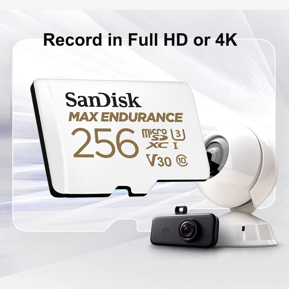 Scheda MicroSD SanDisk MAX END - Dash Cam Sd Card 256Gb High Endurance recensione e prezzo
